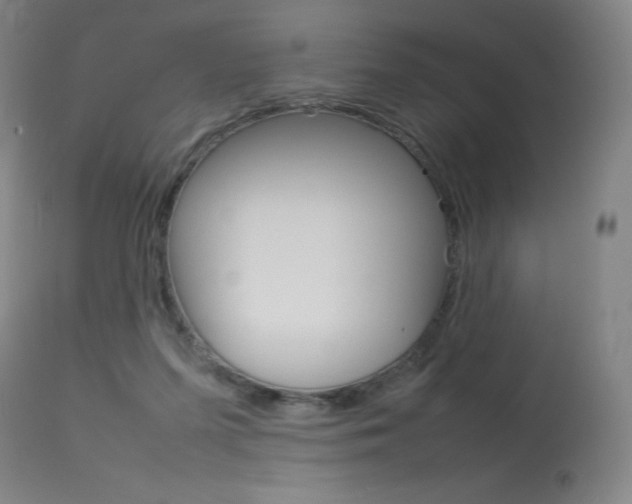 X0000114140215200910081034