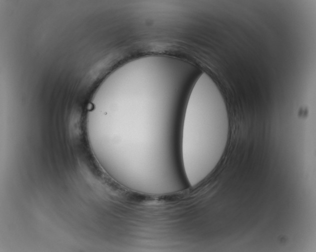 X0000114140216200910081034