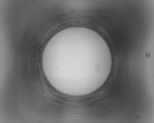 X0000114140217200910081034