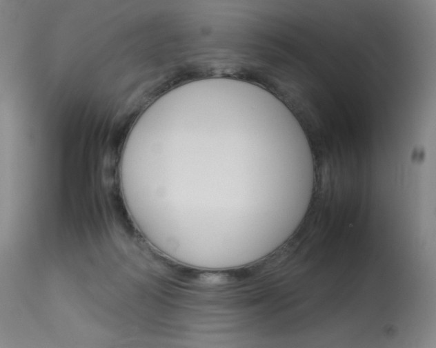 X0000114140218200910081034