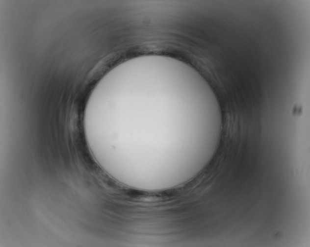 X0000114140220200910081034