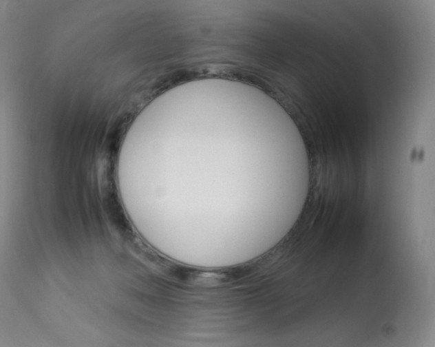 X0000114140222200910081034