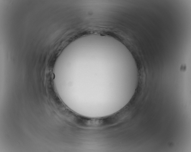 X0000114140225200910081034