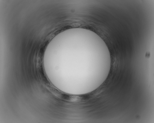 X0000114140226200910081034