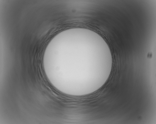 X0000114140227200910081033