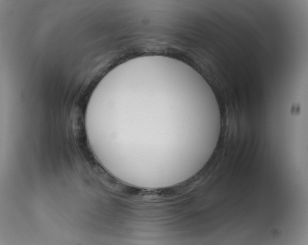 X0000114140228200910081033