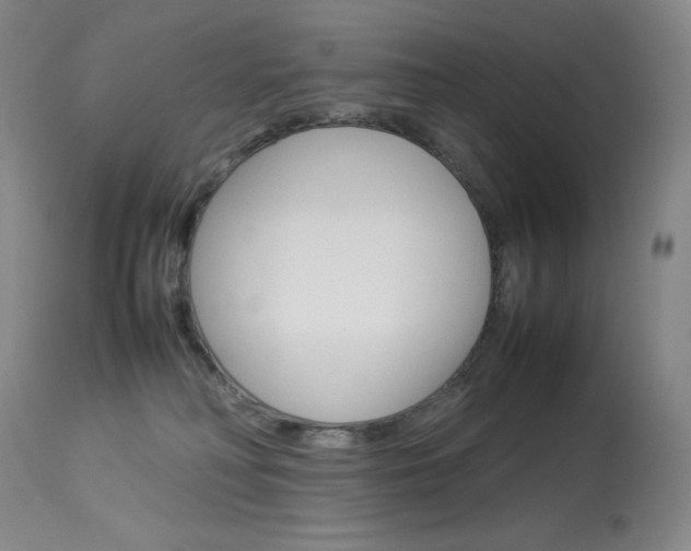 X0000114140230200910081033