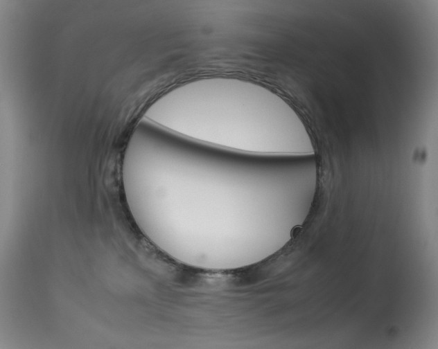 X0000114140233200910081033