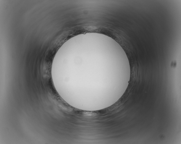 X0000114140234200910081033