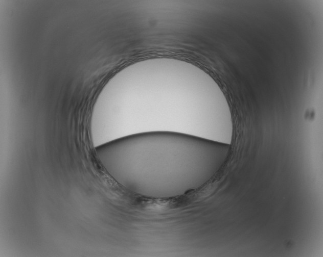 X0000114140235200910081033