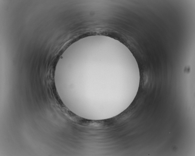 X0000114140236200910081033