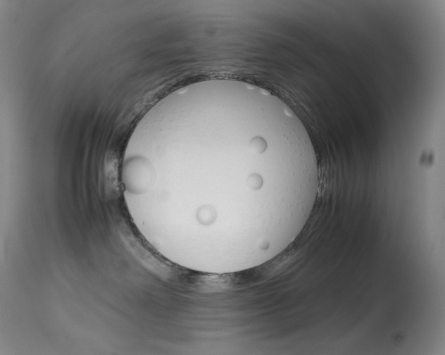 X0000114140238200910081033