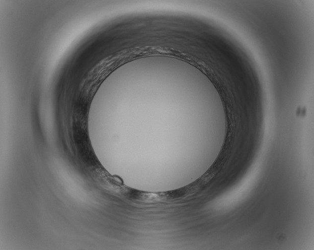 X0000114140239200910081033