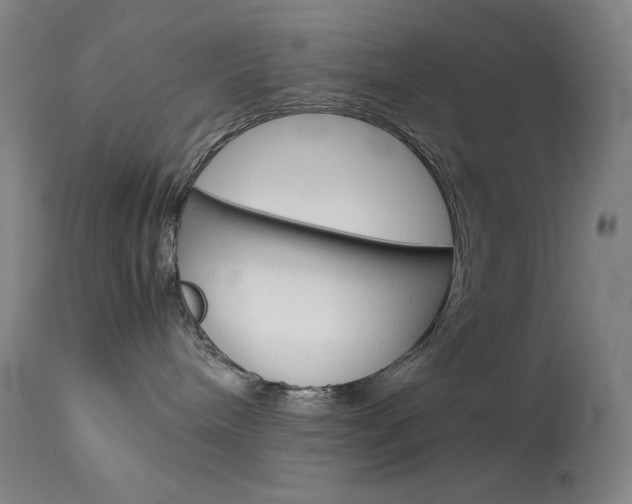 X0000114140240200910081033