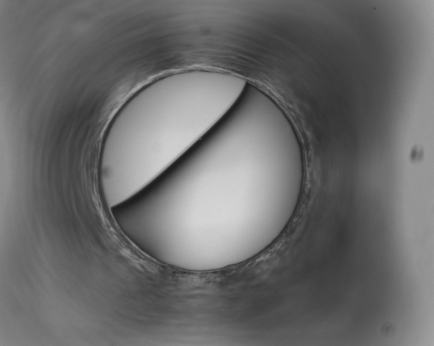 X0000114140241200910081033