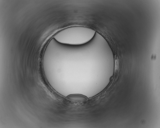 X0000114140243200910081033