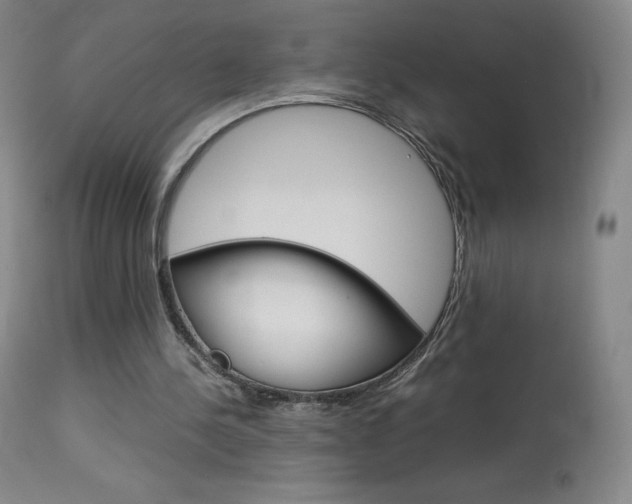 X0000114140244200910081033