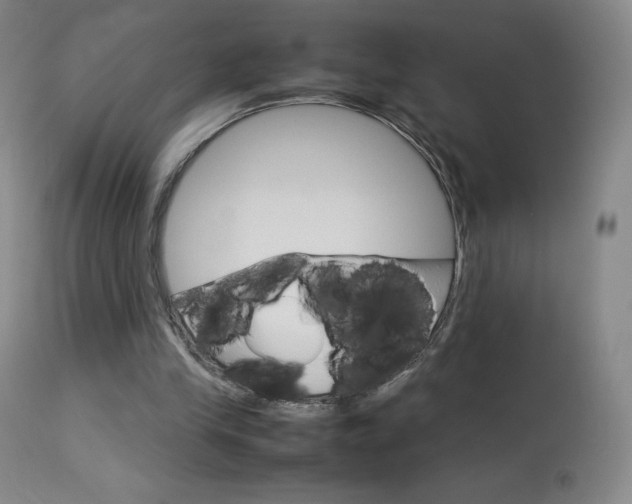 X0000114140245200910081033