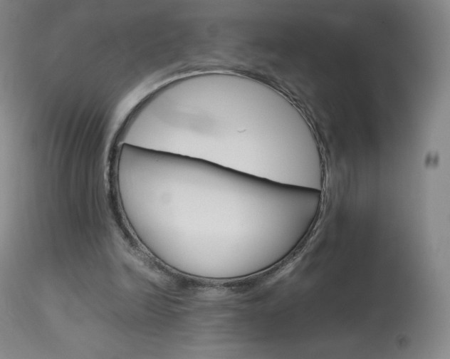 X0000114140246200910081033