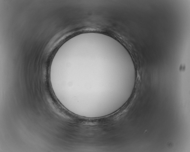 X0000114140247200910081033