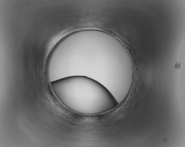 X0000114140248200910081033