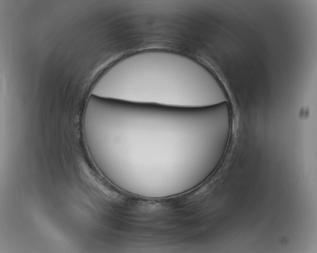 X0000114140249200910081033