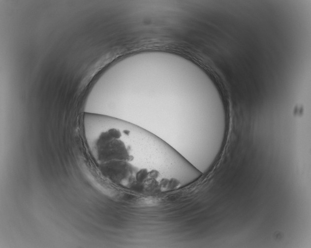 X0000114140250200910081033