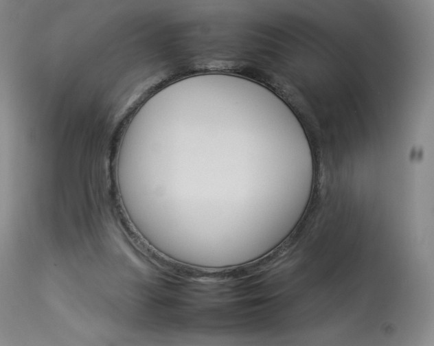 X0000114140251200910081033