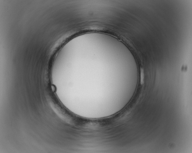 X0000114140252200910081033