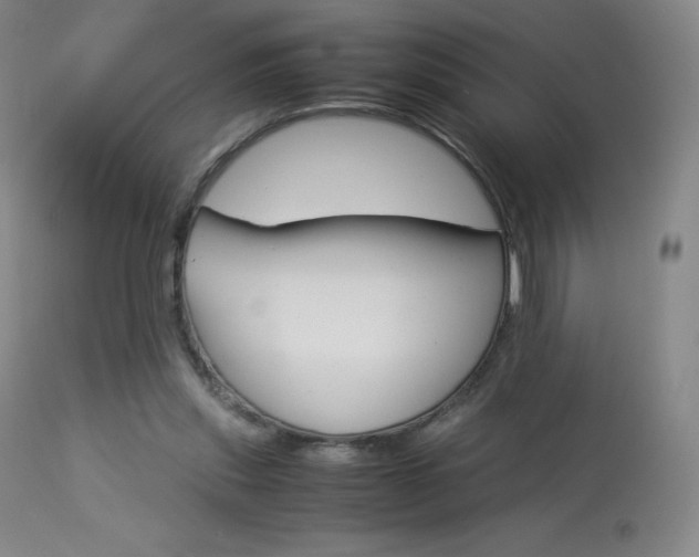 X0000114140253200910081033