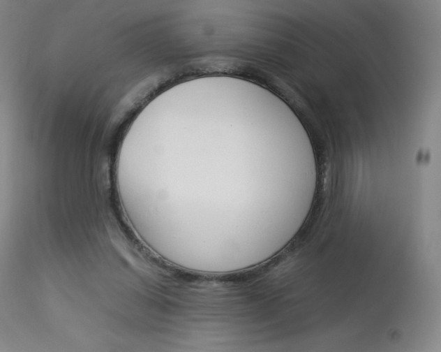 X0000114140254200910081033