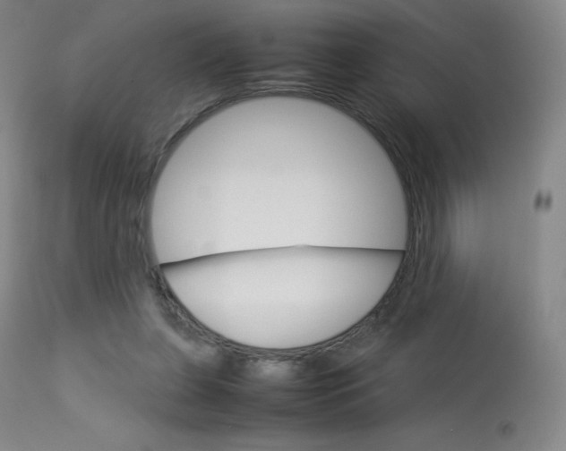 X0000114140255200910081033