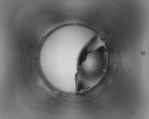 X0000114140256200910081033