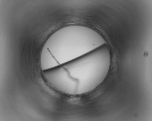 X0000114140257200910081033