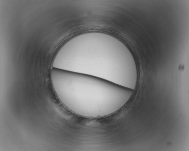 X0000114140258200910081033