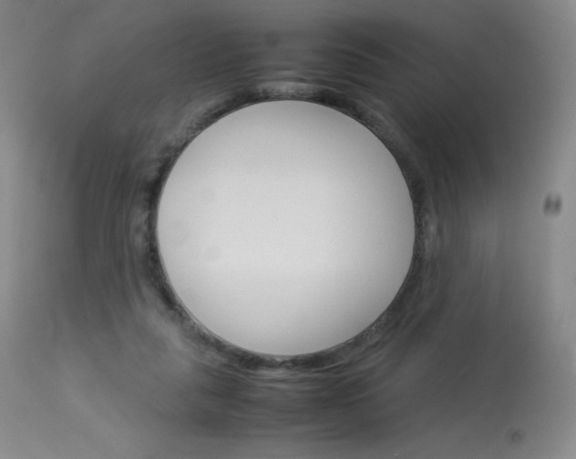 X0000114140259200910081033