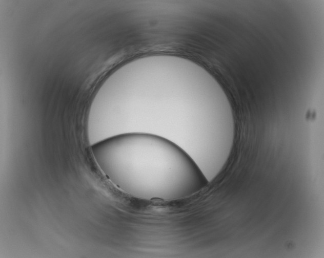 X0000114140260200910081033