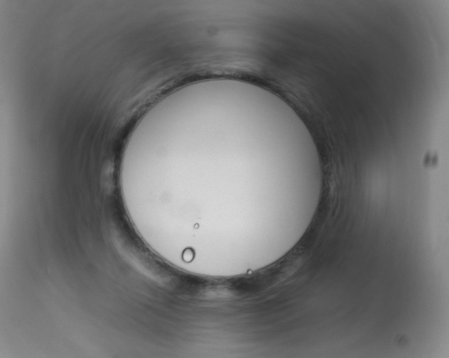 X0000114140262200910081033