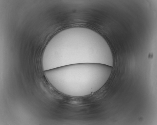 X0000114140263200910081033