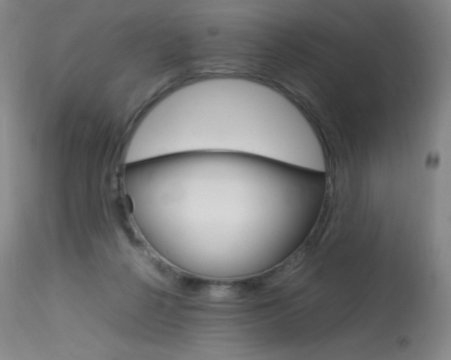 X0000114140264200910081033