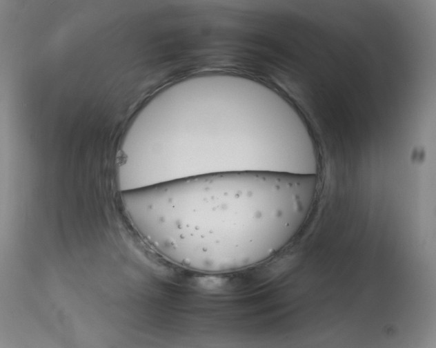 X0000114140265200910081033