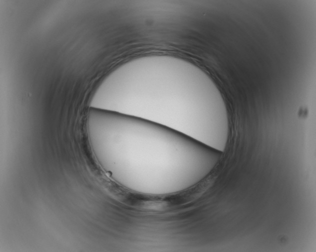 X0000114140266200910081033