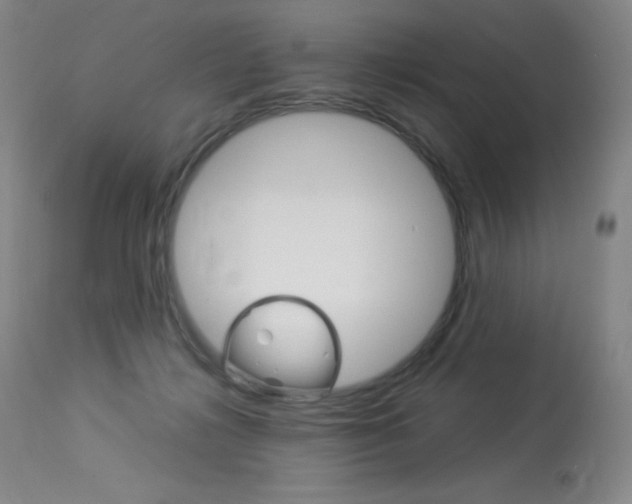 X0000114140268200910081033