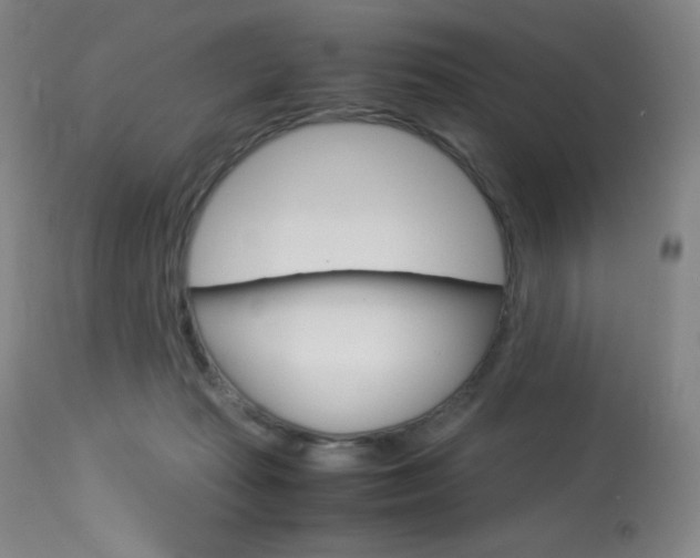 X0000114140269200910081033