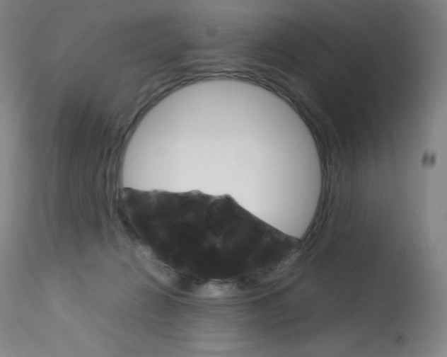 X0000114140270200910081033