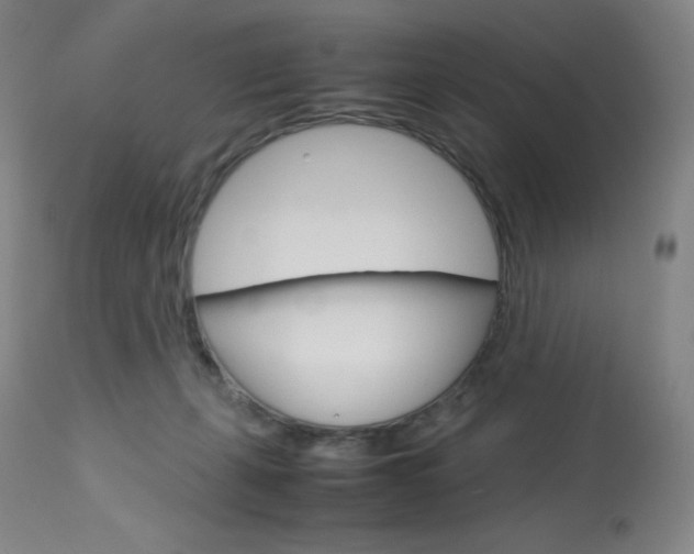 X0000114140271200910081033