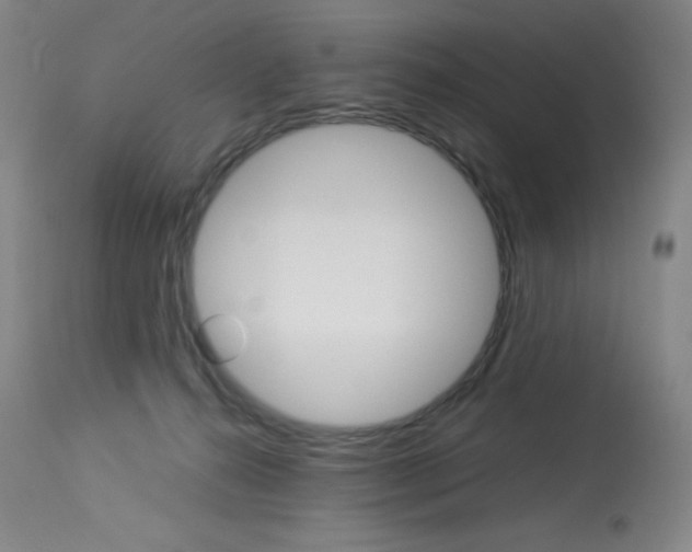 X0000114140272200910081033