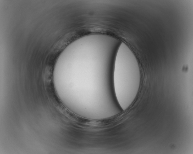 X0000114140273200910081033