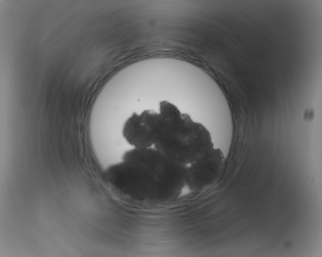 X0000114140274200910081033