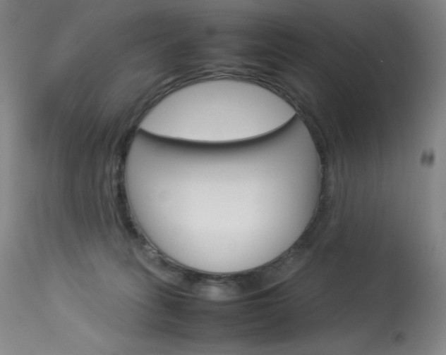 X0000114140275200910081033